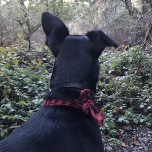 Meet your Posher, Jon